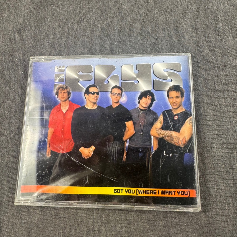 The Flys Got You Where I Want You CD Single 1998 Alternative Rock 4 Tracks